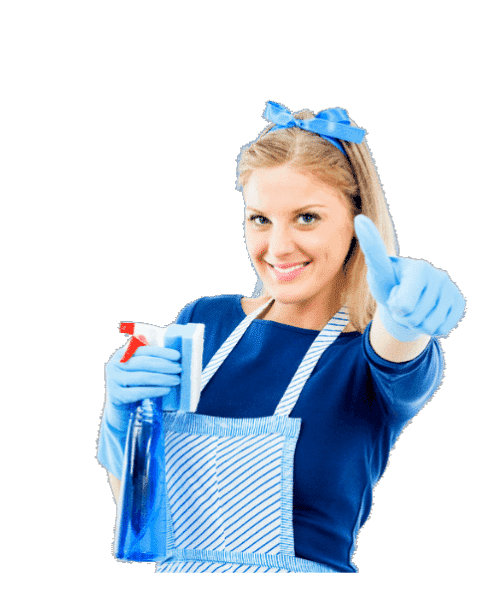 Flat Deep Cleaning Services in pune